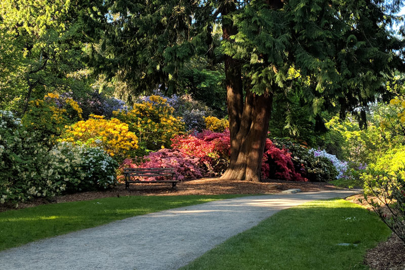 Seattle in the Spring.